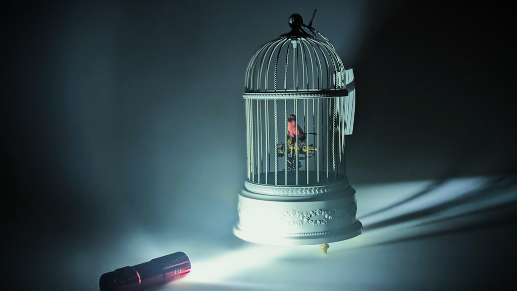 Eine Spieluhr in Form eines klassischen Vogelkäfigs mit einem orangen Vogel darin,  auf den eine Taschenlampe gerichtet ist.
