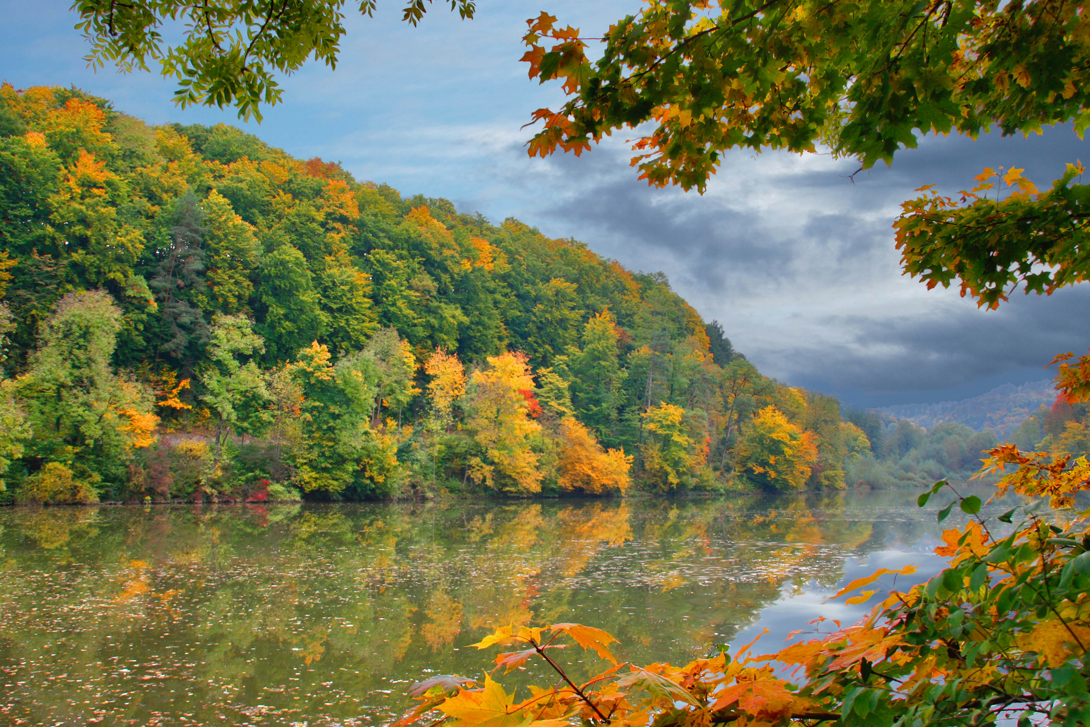Basler Weiher im Herbst