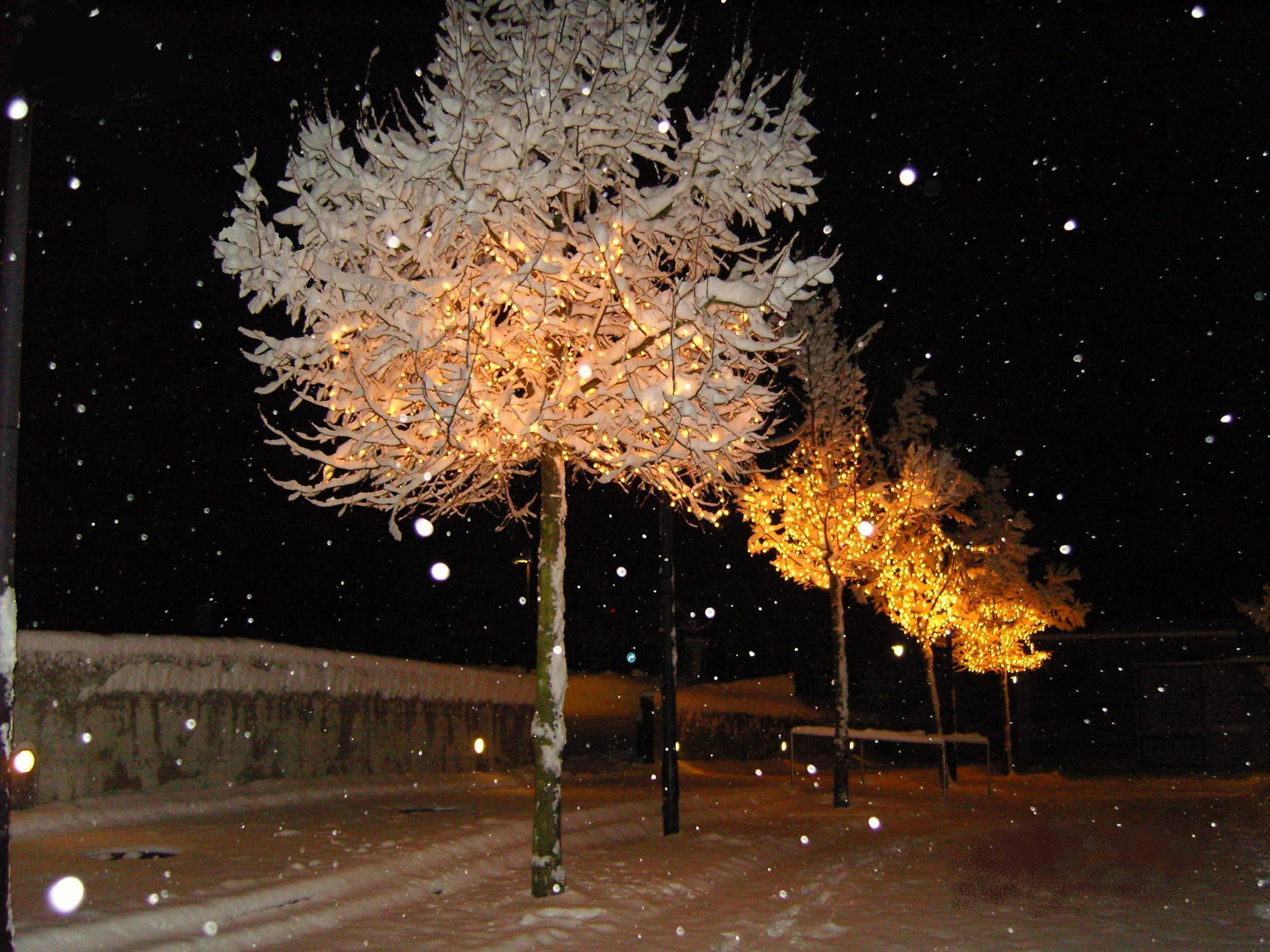 Winter