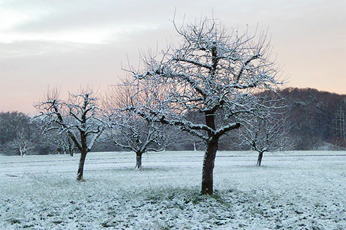 Winterlandschaft