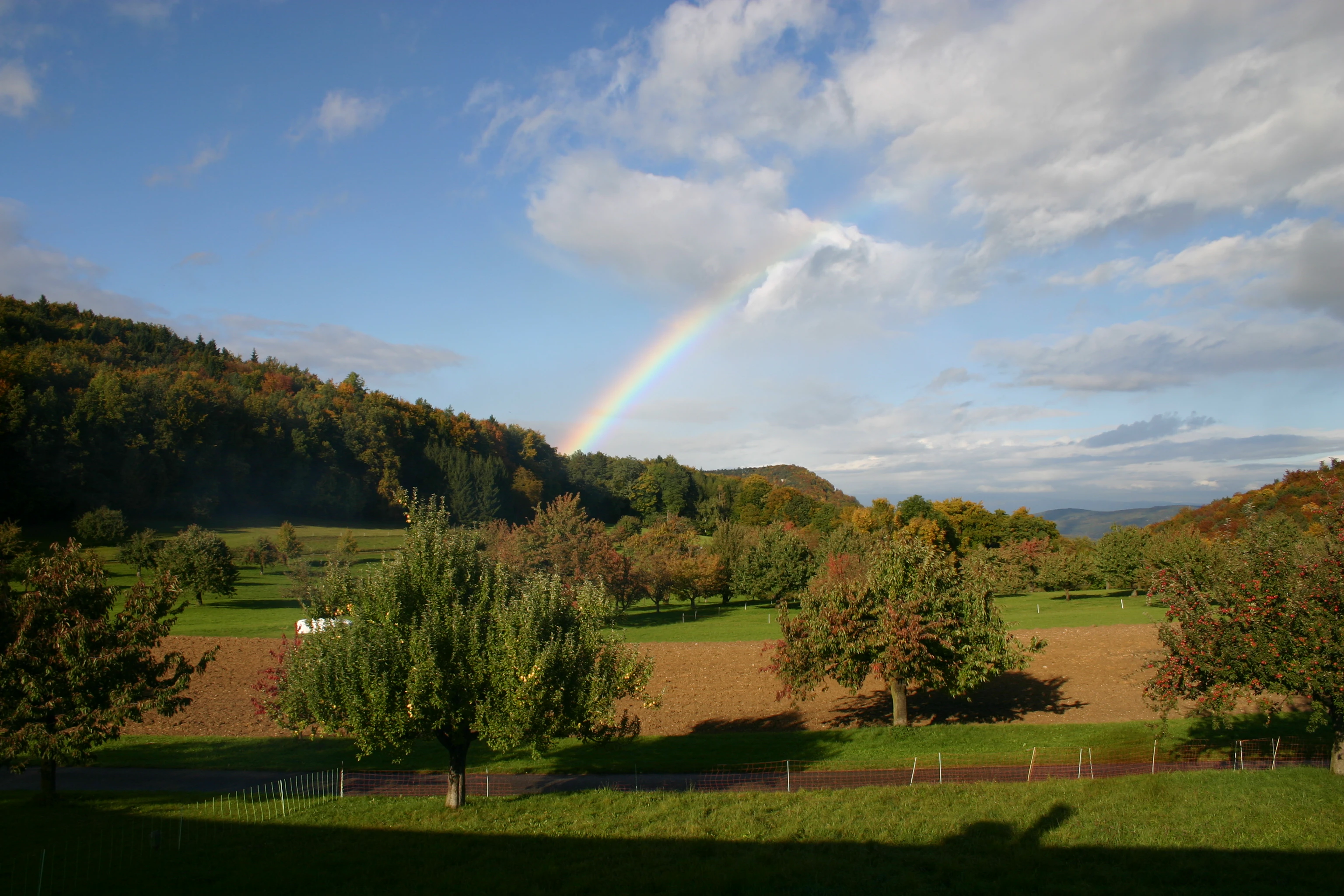 Autumn atmosphere