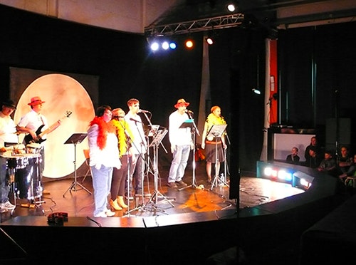 Musik-Band „die schreege Vögel“