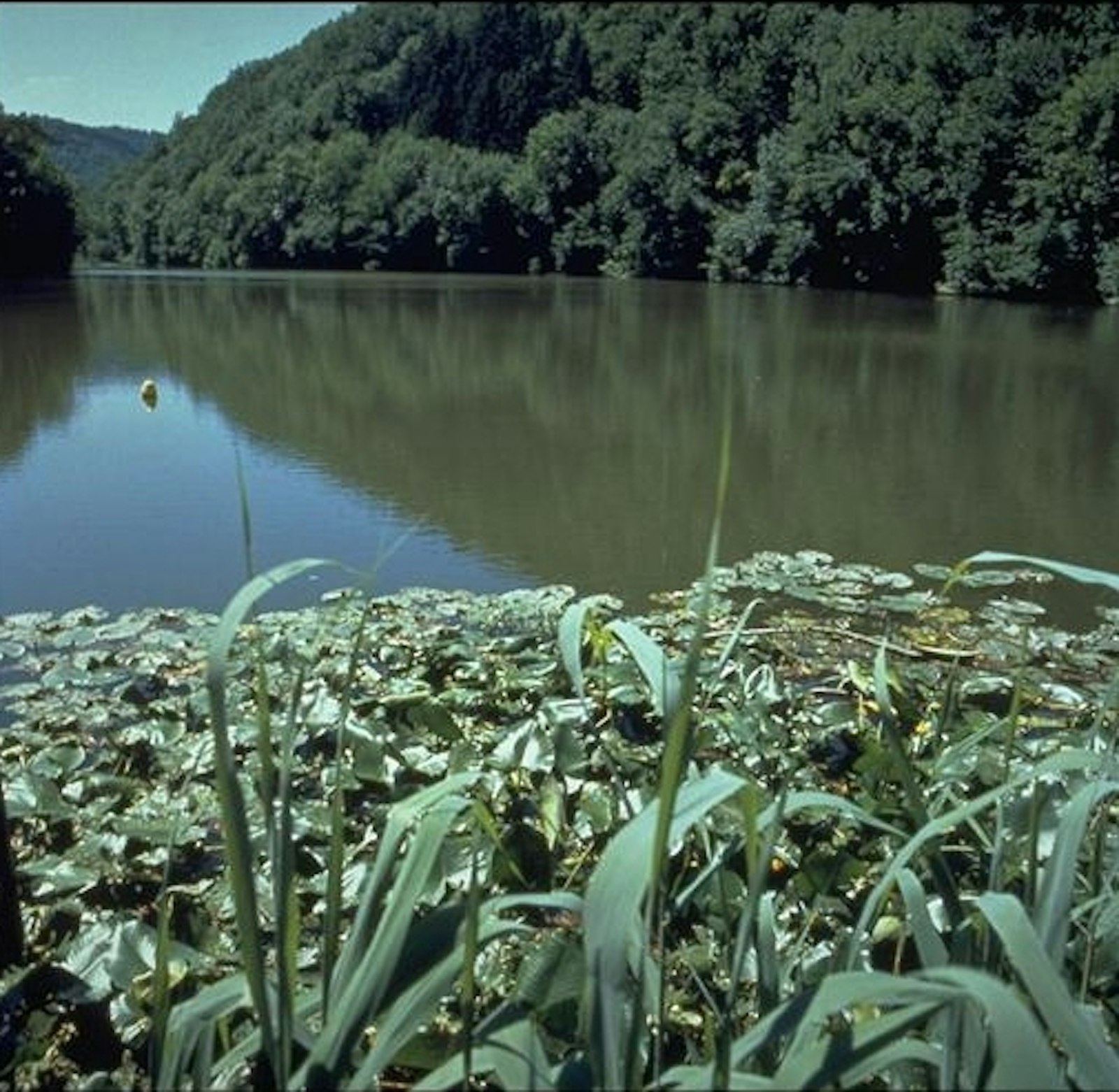 Dintorni, cerimonia a Basilea